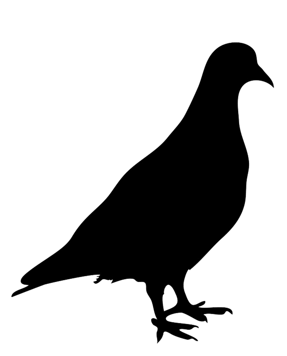 Crow bird silhouettes clipart free