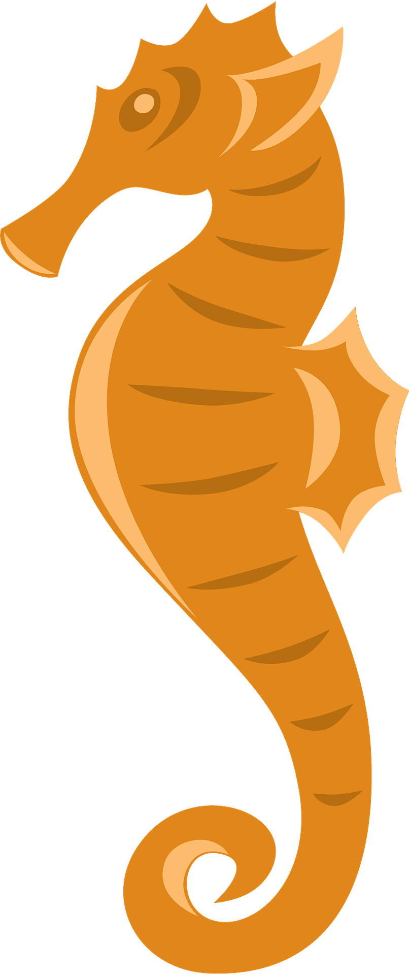 Seahorse vector clipart images 7