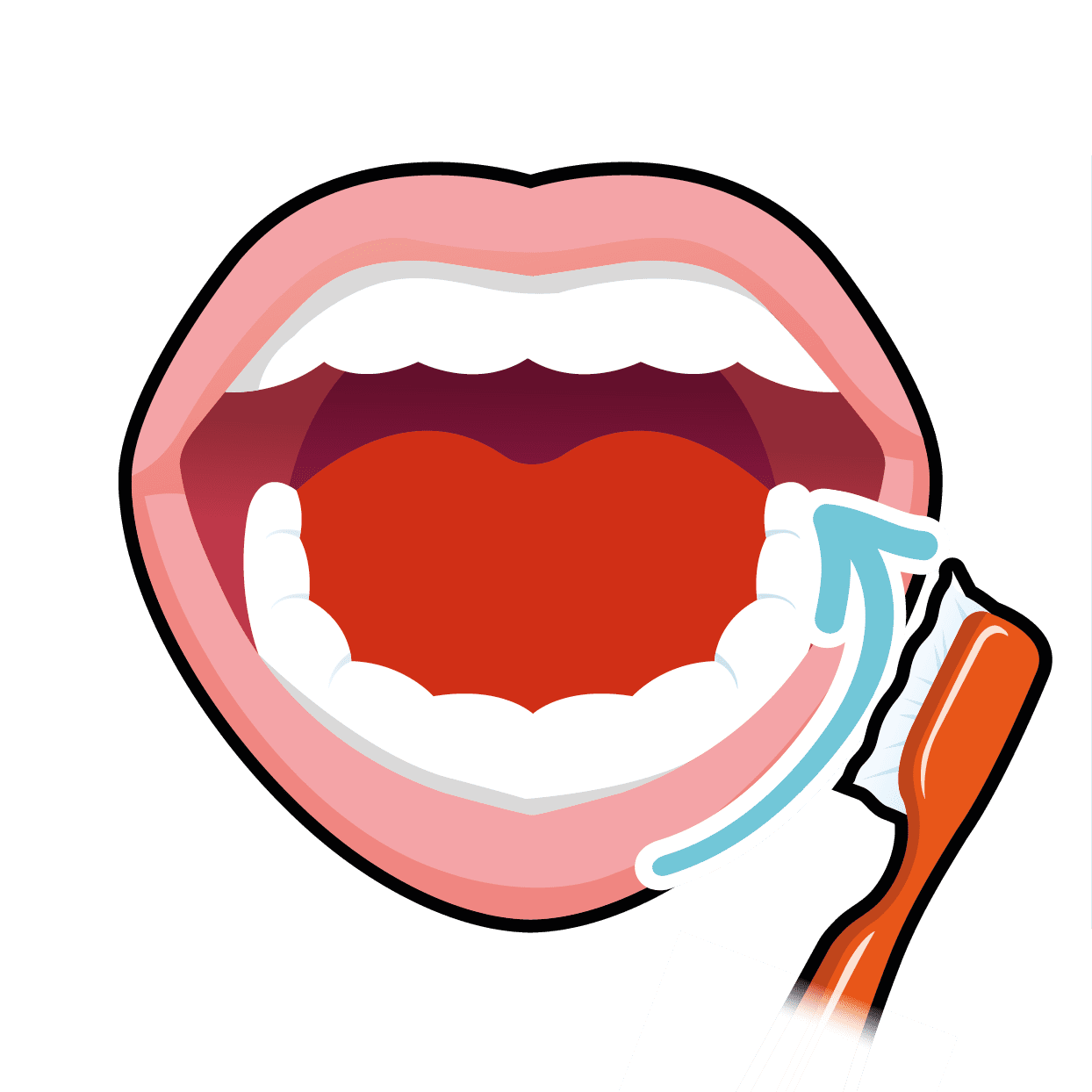 Brushing teeth smiley shen startwell clipart background