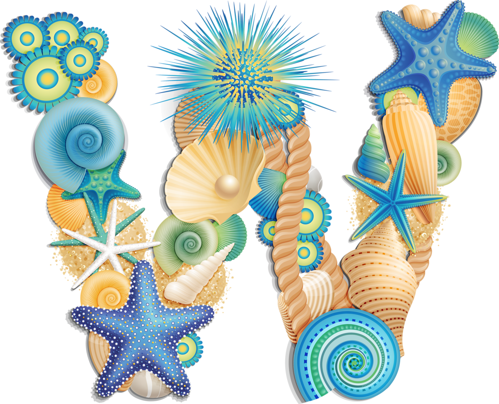 Seashells clipart background