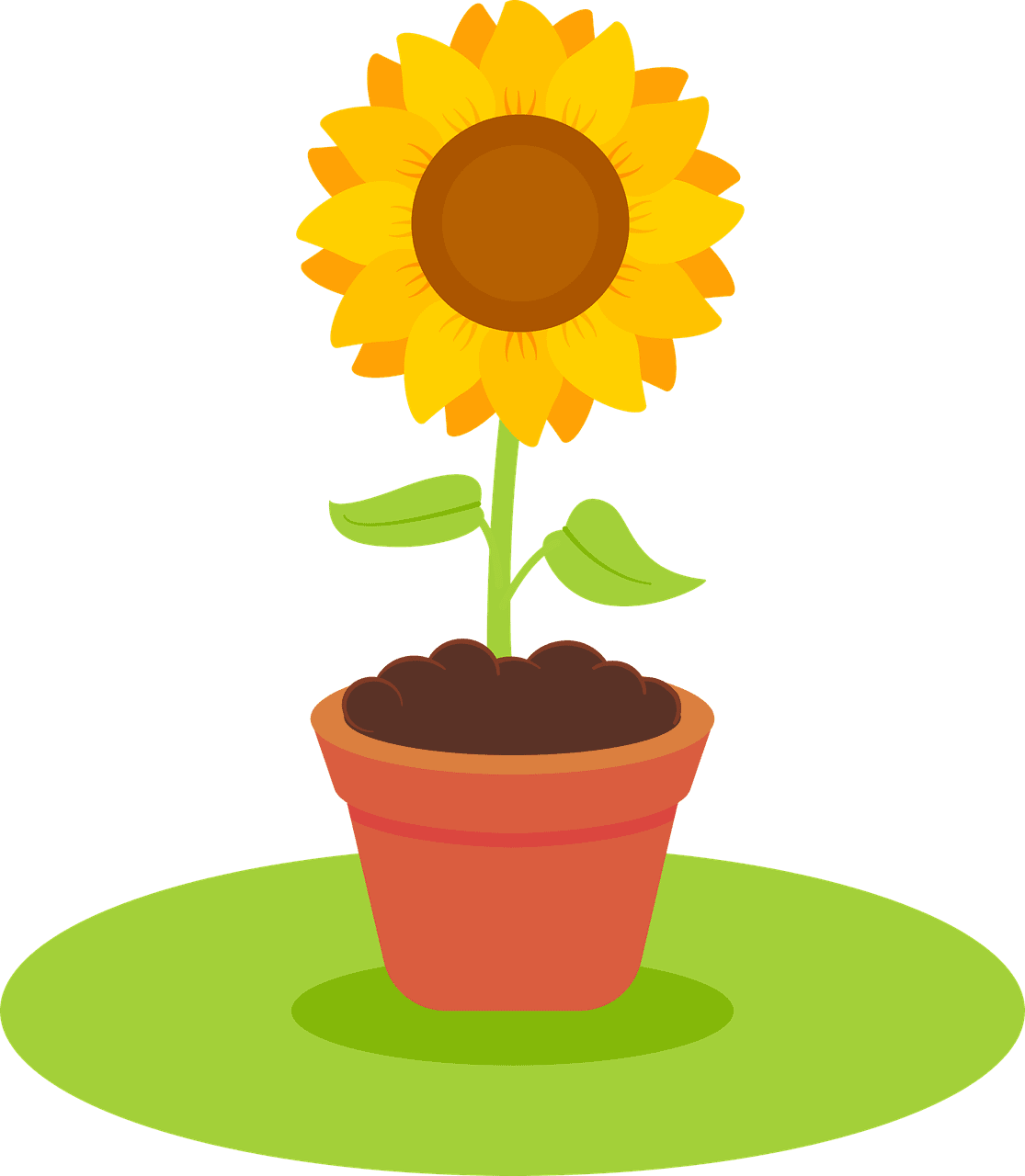 Flower pot sunflower vector graphic clipart