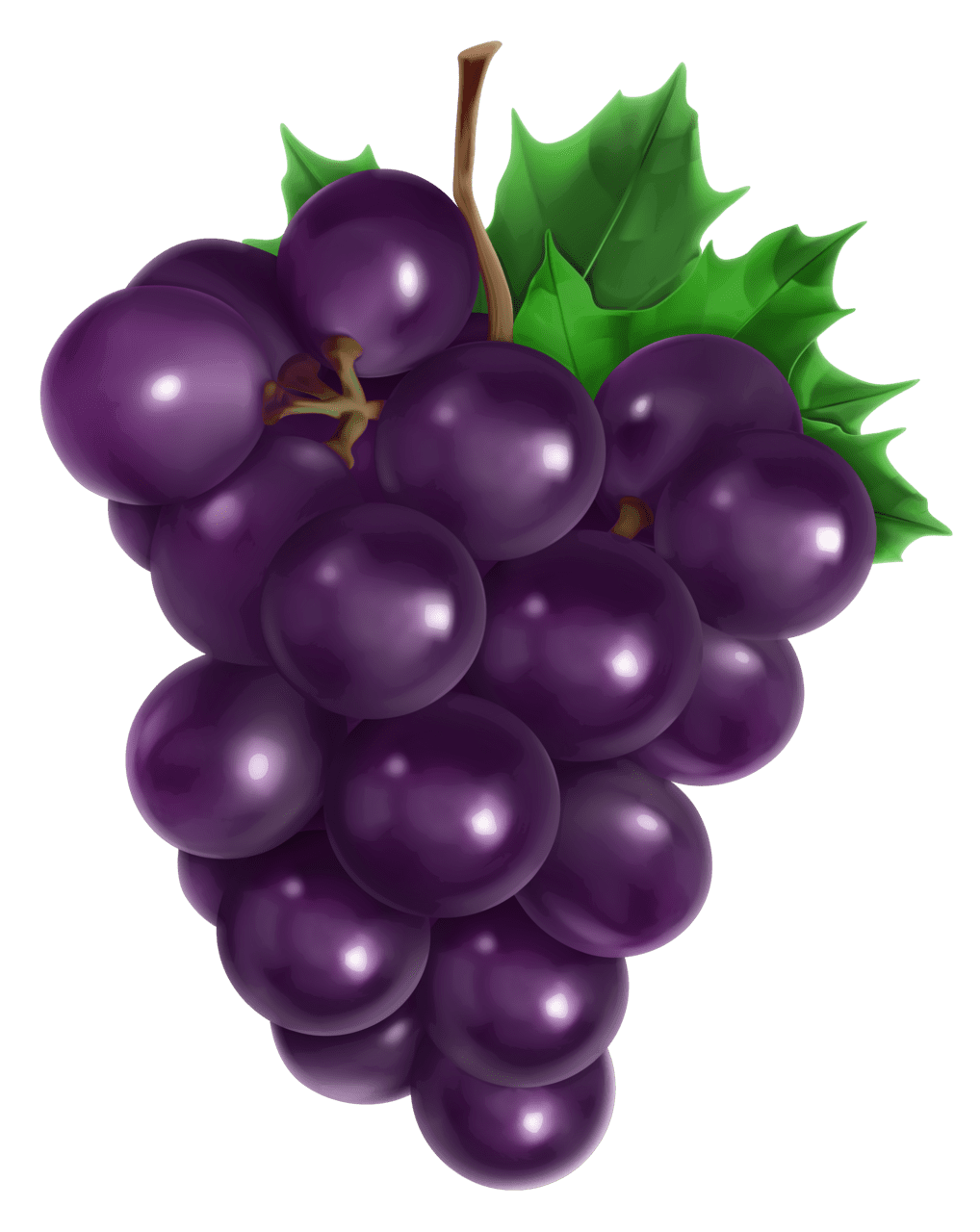 Grape clipart library transparent