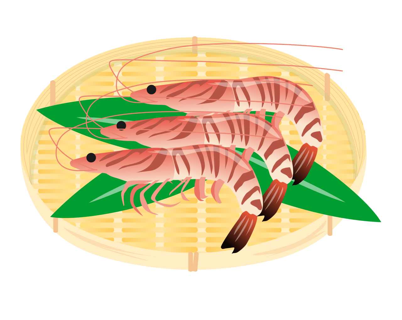 Shrimp vector clipart images 18