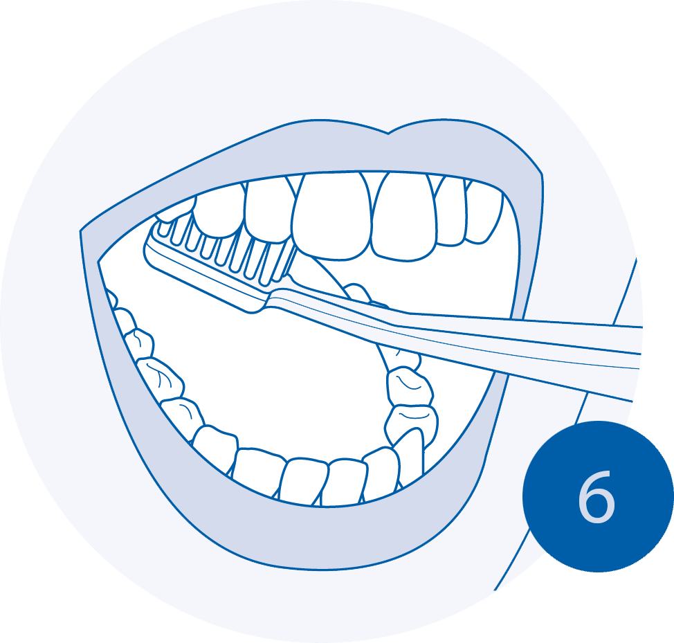 Brushing teeth correctly how to do it best clipart background