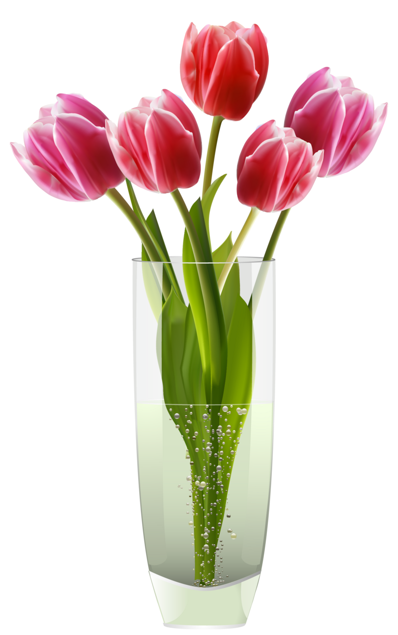 Flower pot pink red tulips vase clipart free