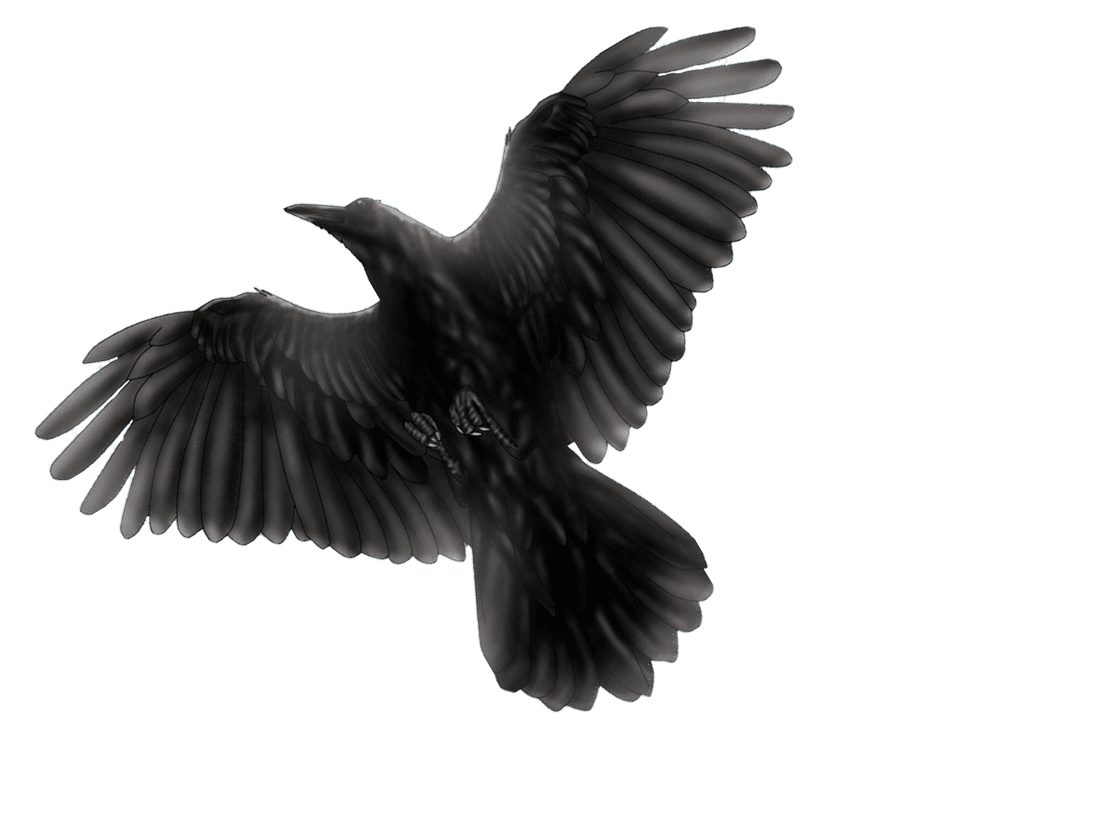 Crow pin page clipart free