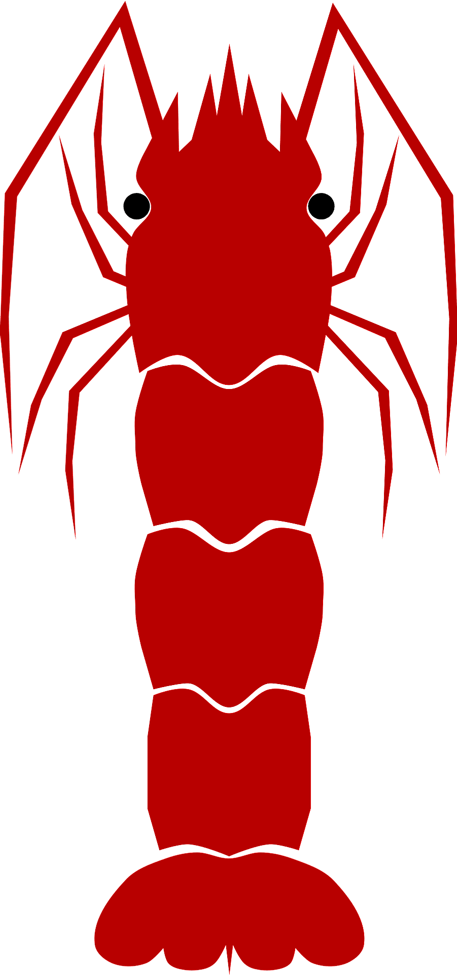 Shrimp vector clipart images 16