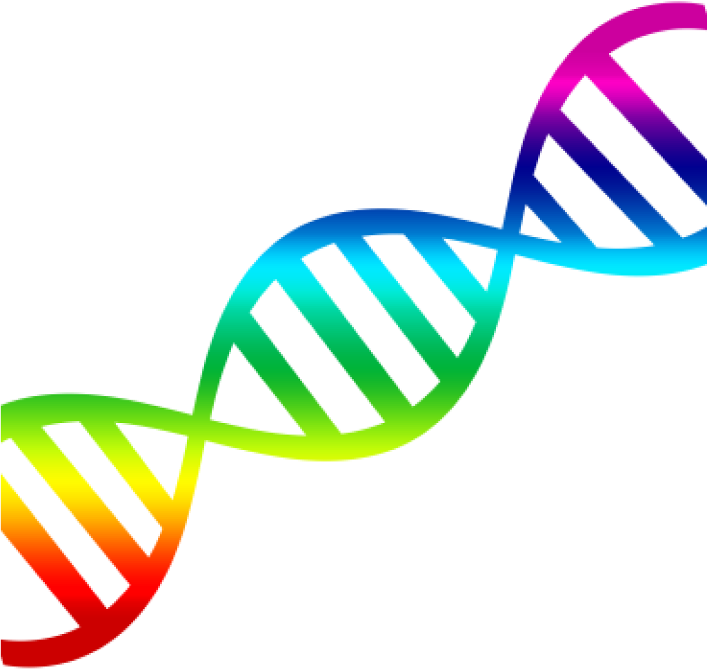 Dna colorful structure clipart photo