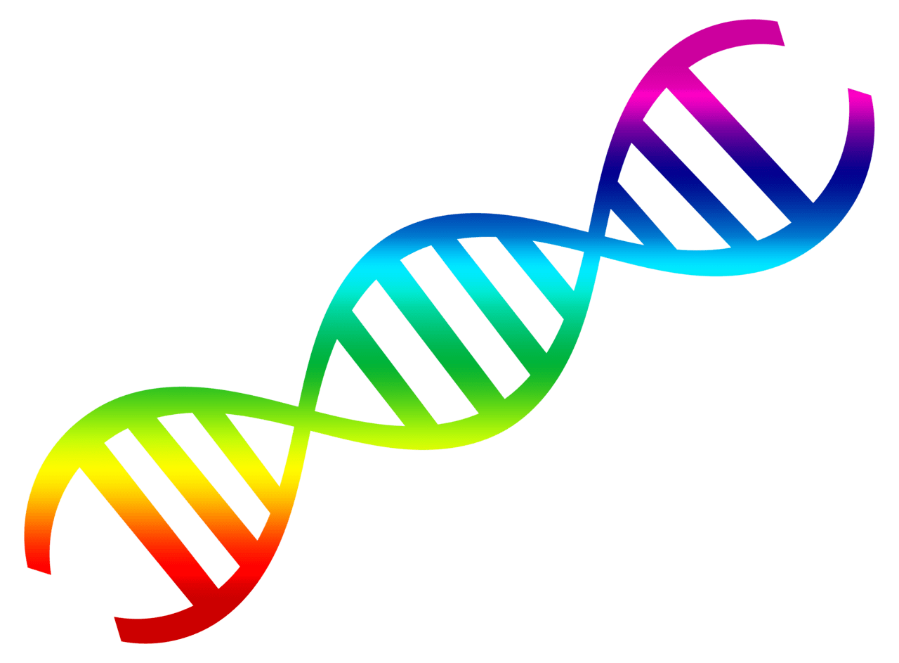 Dna image size clipart