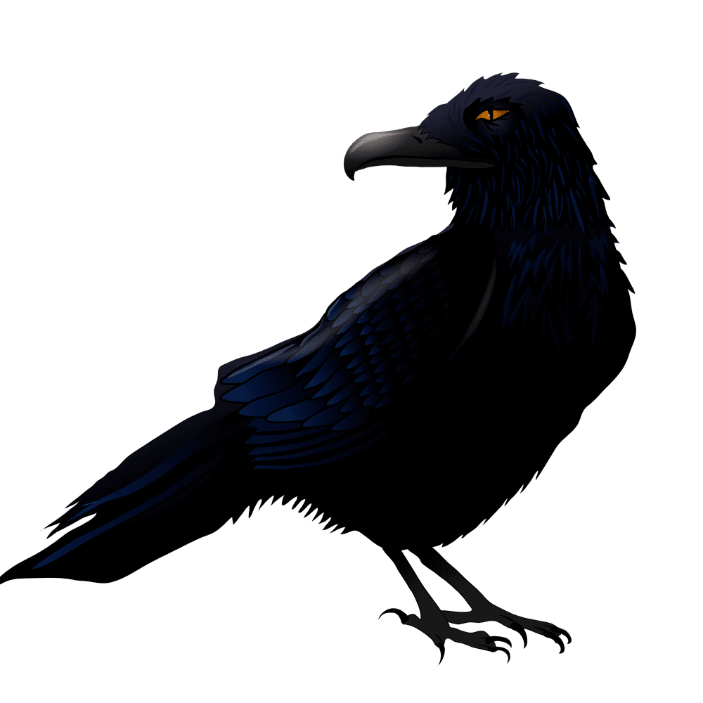 Crow haunted raven images hd photo clipart