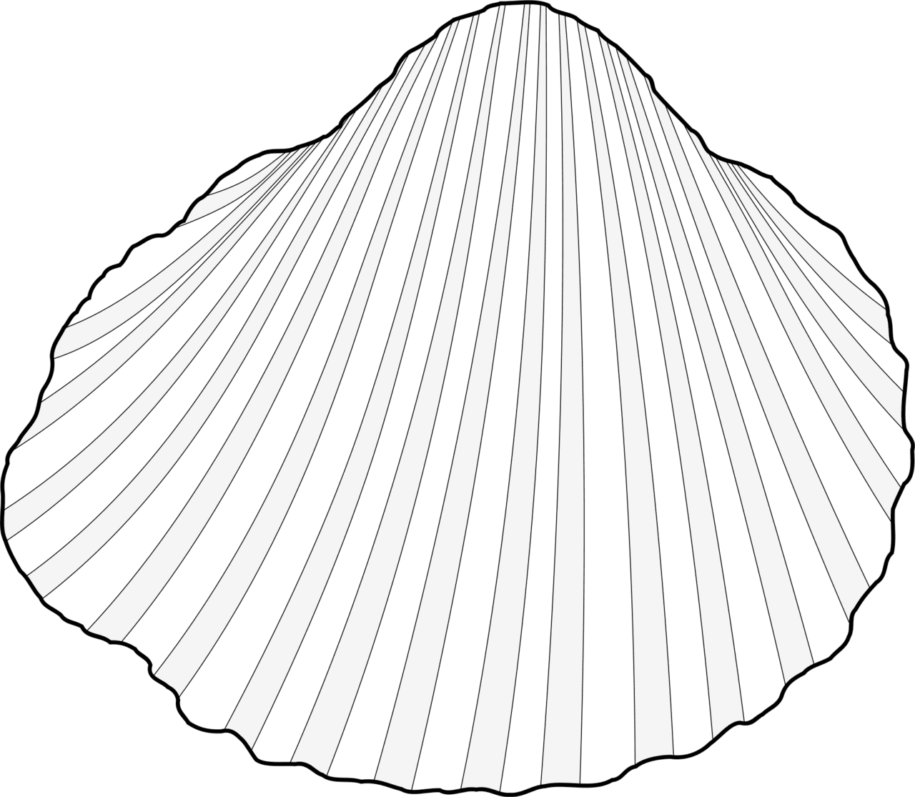 Clam shell clipart vector image photo cc images