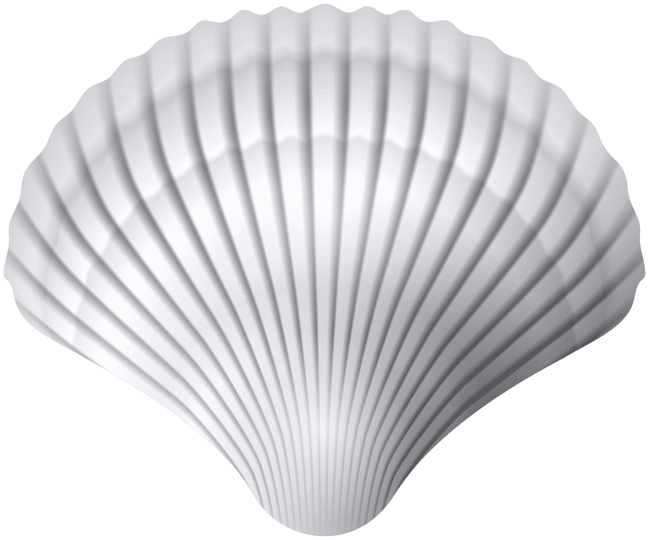 White clam shell clipart high quality images and
