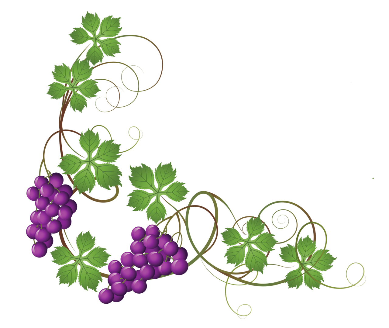 Grape pin page clipart photo