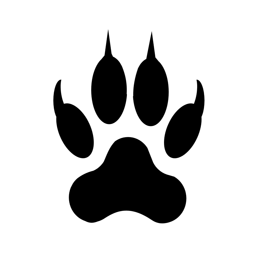 Lion footprint clipart panda images