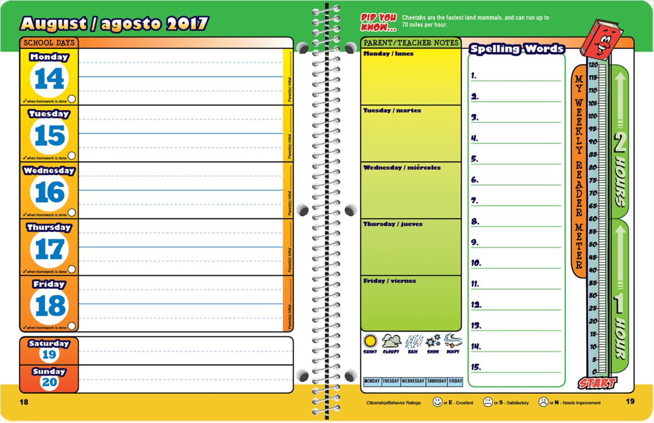 Student agenda clipart background