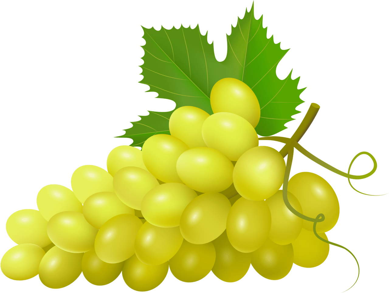Grape power point ideas food clipart mothers day drawings photo