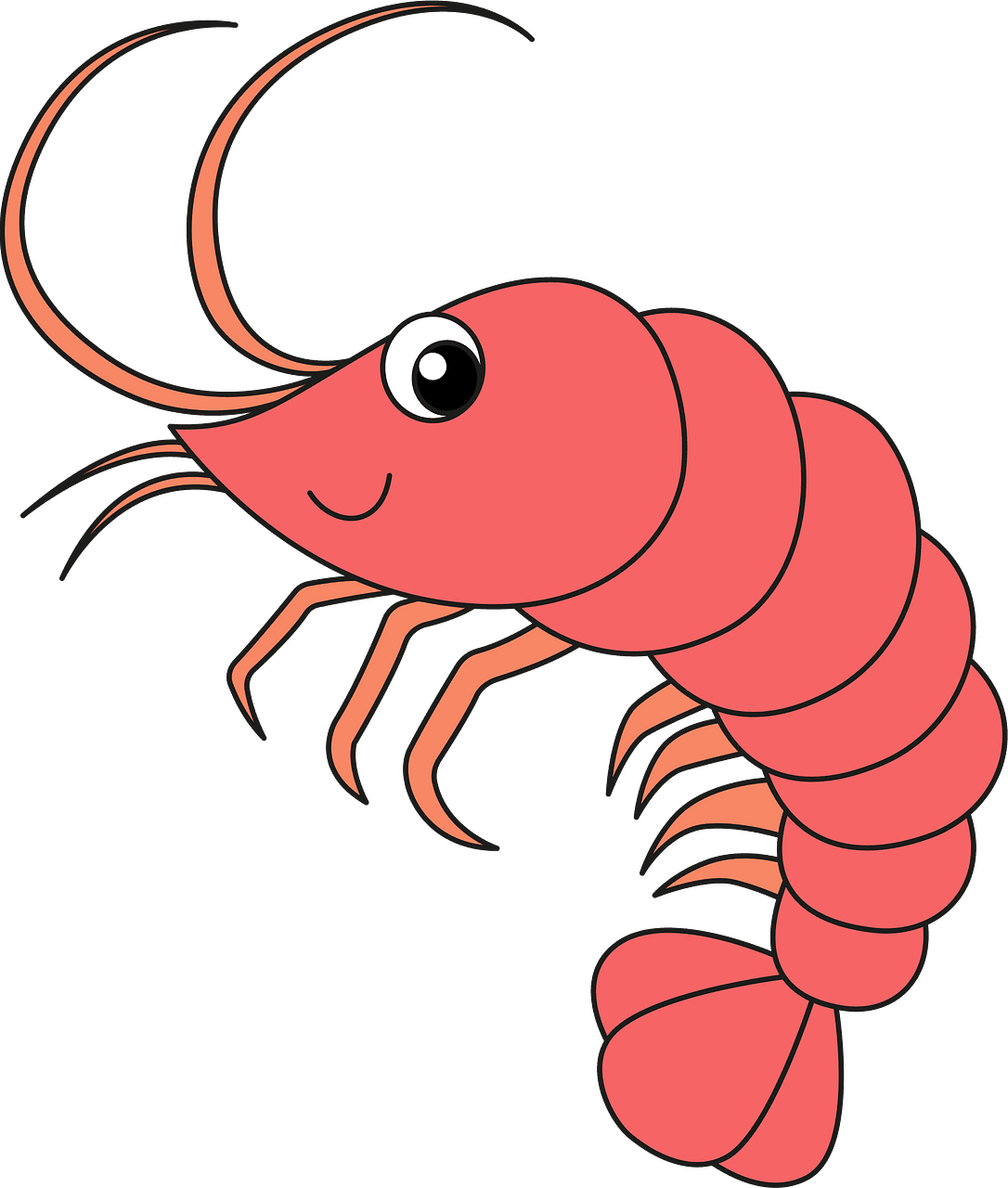 Shrimp vector clipart images 5