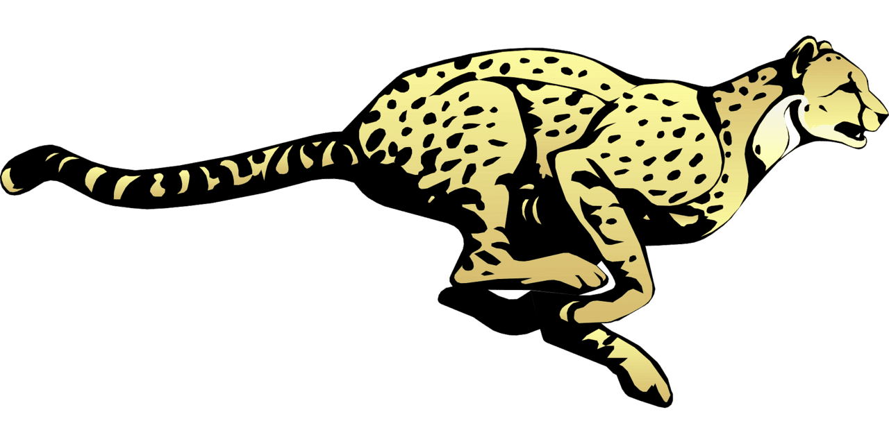 Cheetah vector clipart images 3