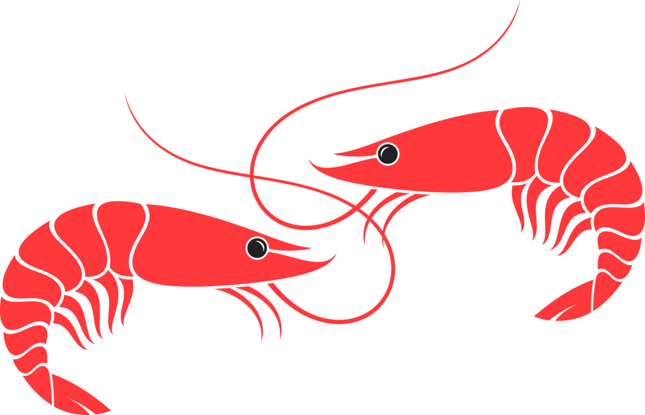 Shrimp image size clipart