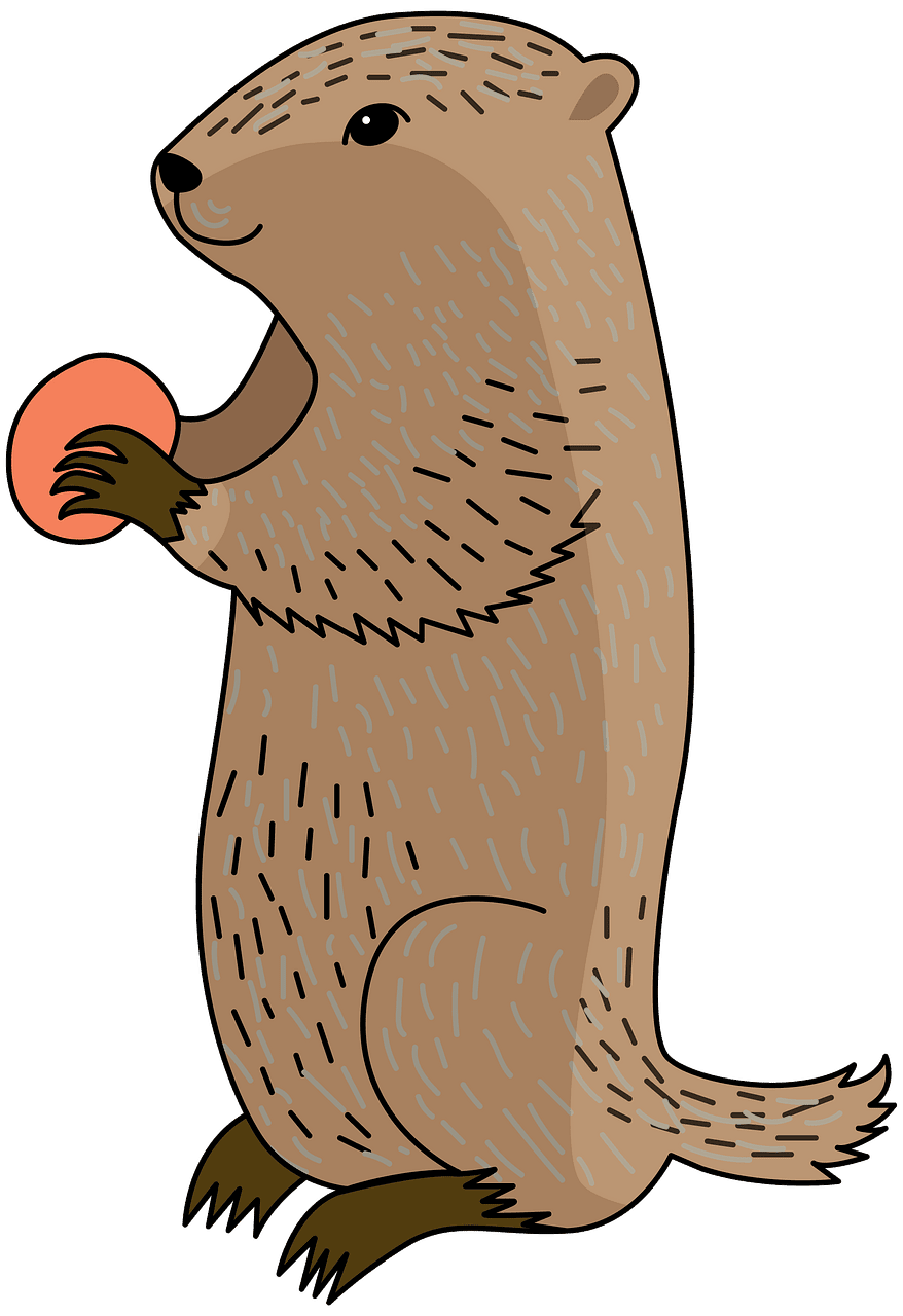 Groundhog day 2024 vector clipart images 4