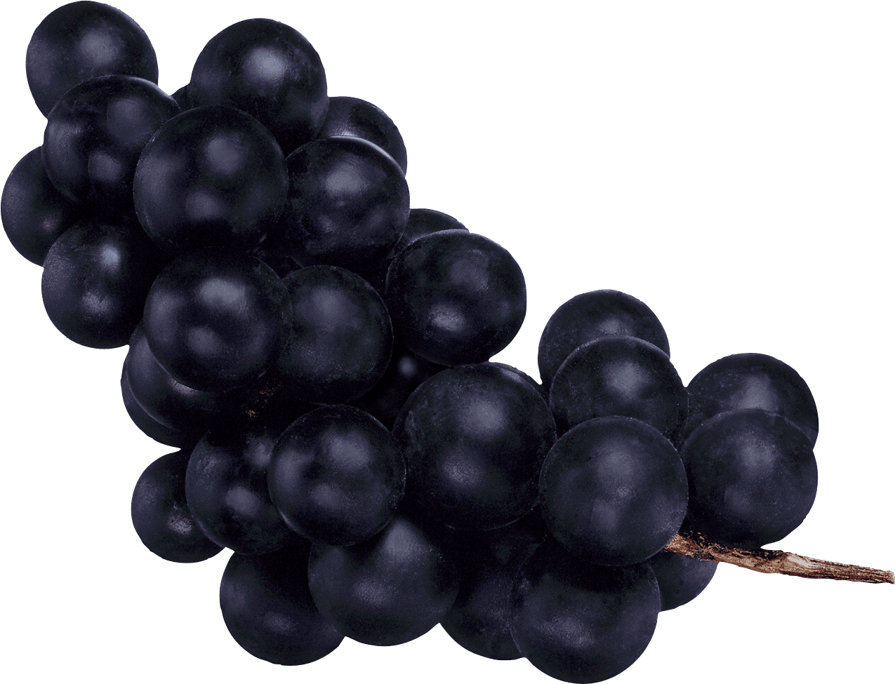 Grape clipart free 3