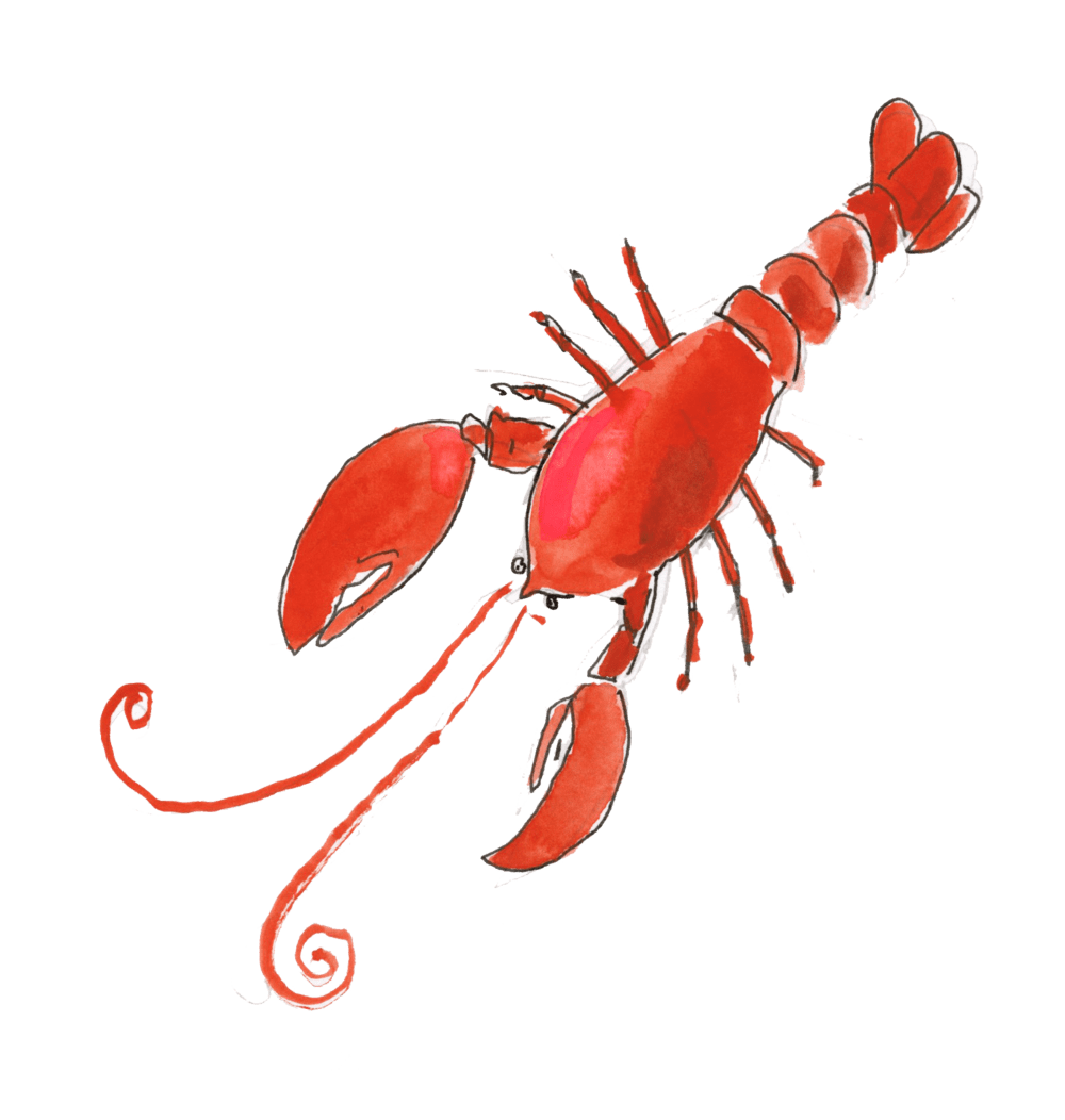 Crawfish lobster art image graphic photo clipart