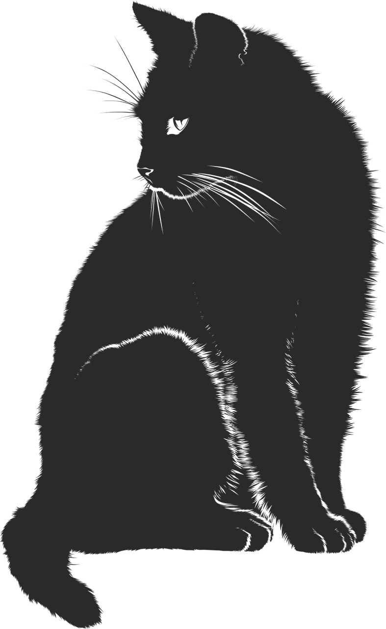 Cat black and white shadow silhouette vector graphic clipart