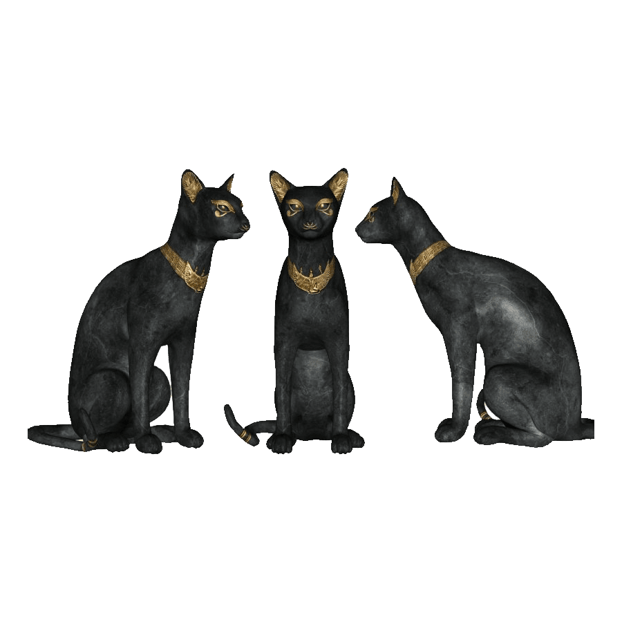 Cat black and white egyptian mau images hd photo clipart