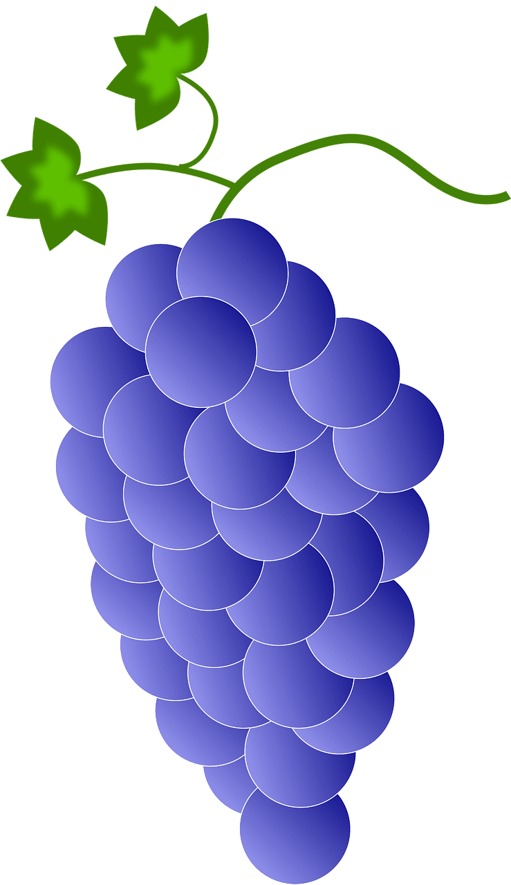 Grape registered namecheap clipart photo