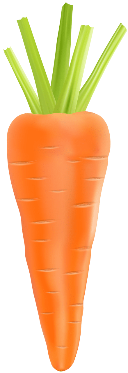 Veggie carrot clipart image