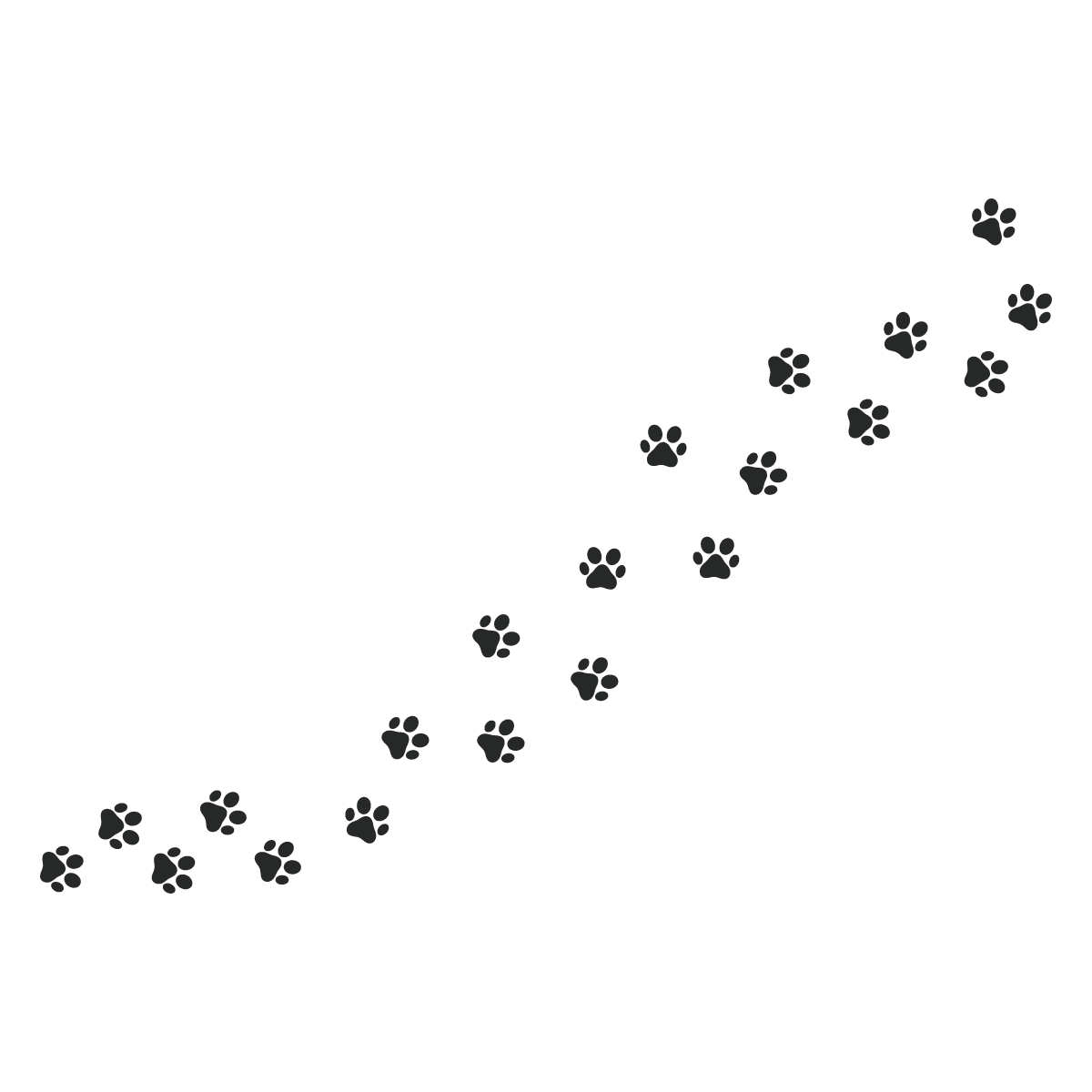 Dog paw page clipart image