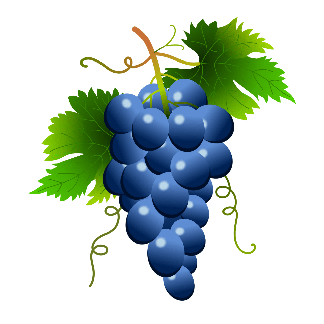 Grape pin page clipart photo 2