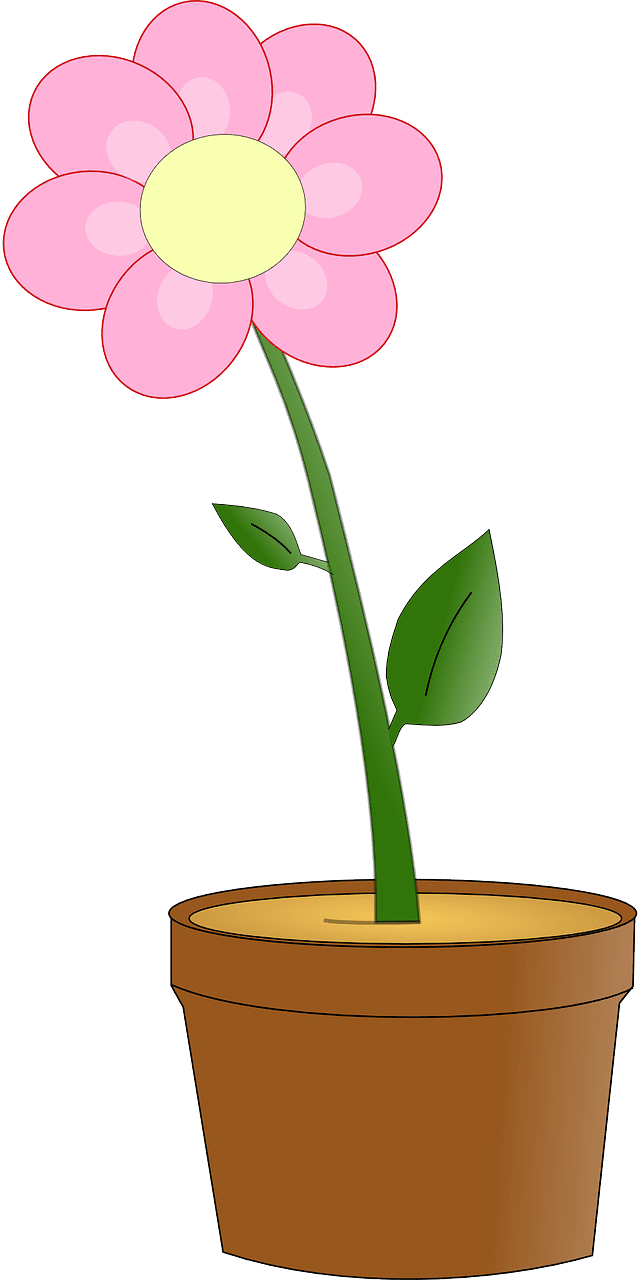 Flower pot nature vector graphic clipart