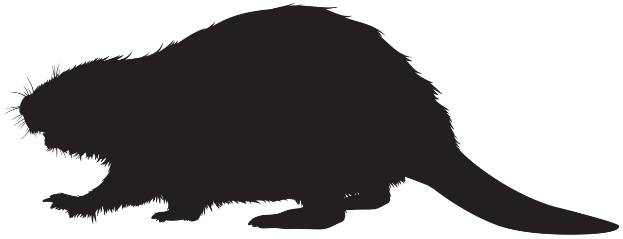 Beaver silhouette clipart image high quality images and