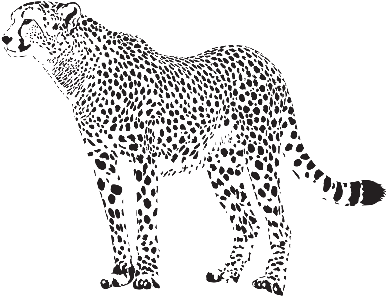 Cheetah silhouette clipart image high quality images and