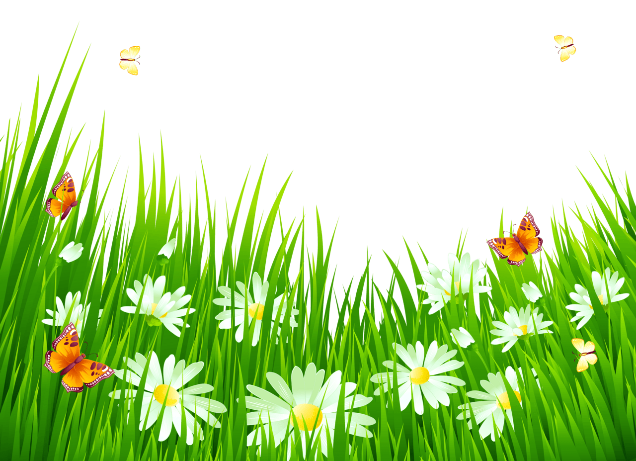 Springtime grass with white flowers clipart photo