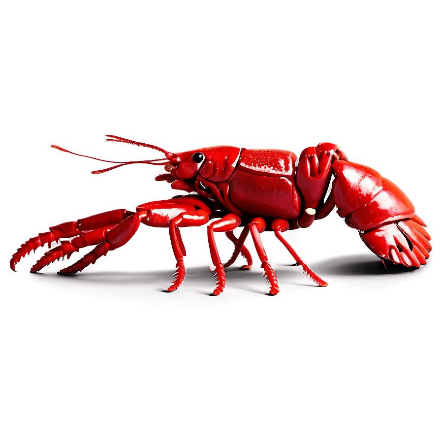 Crawfish images clipart