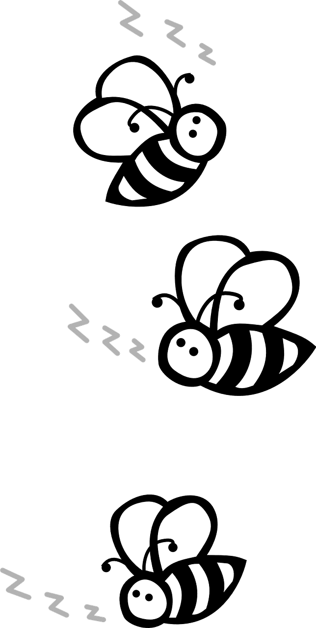 Bee black and white bees flying vector graphic clipart