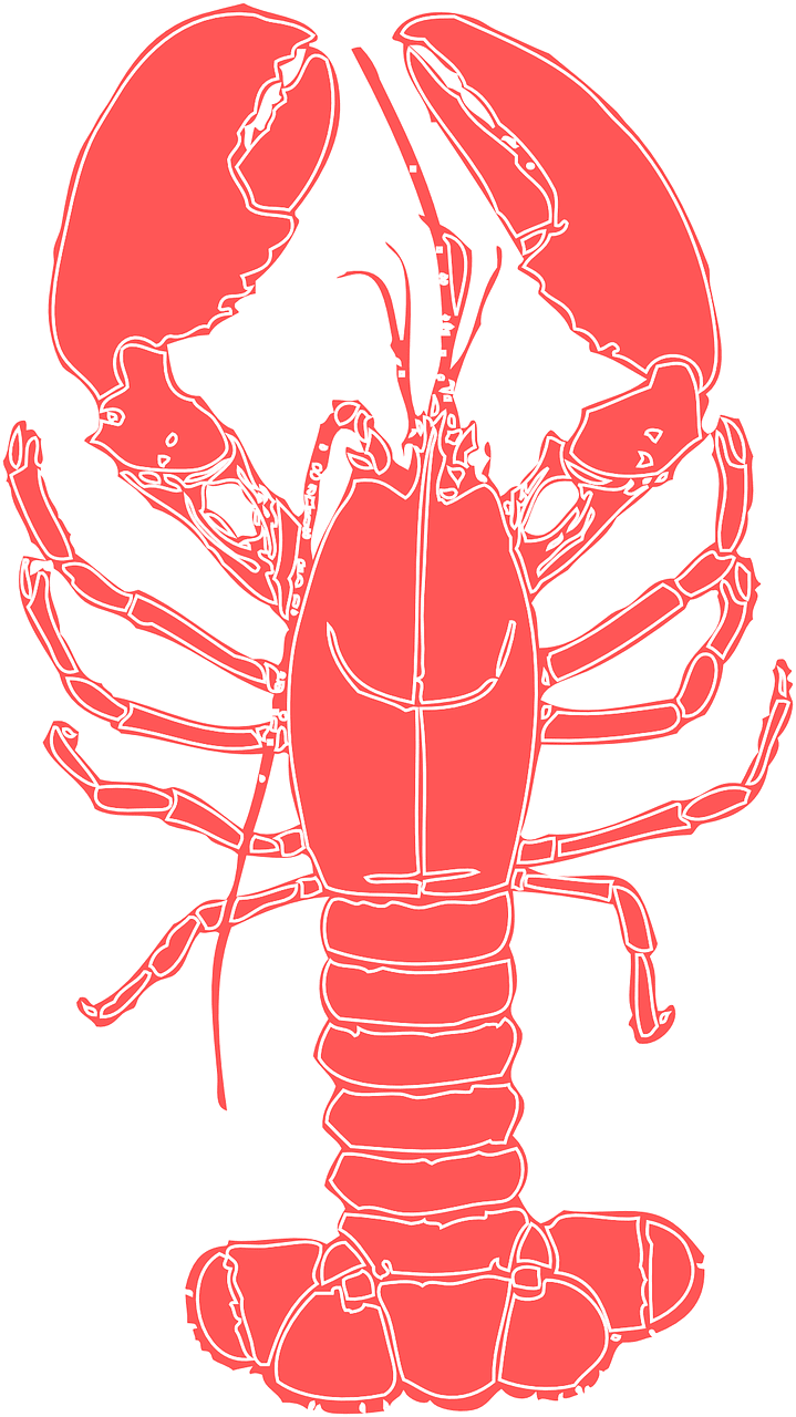 Crawfish vector art graphics clipart