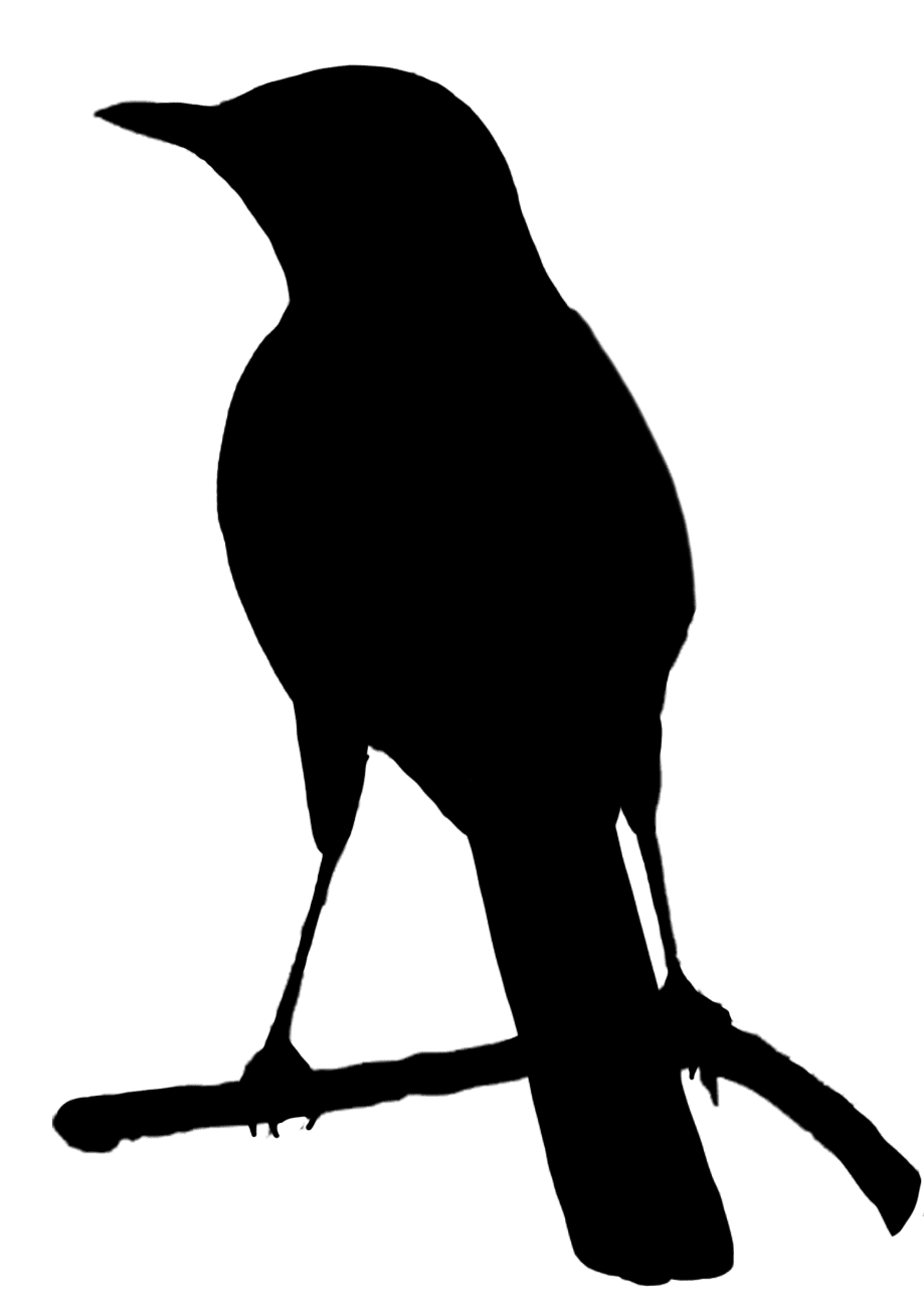 Crow bird silhouettes clipart image