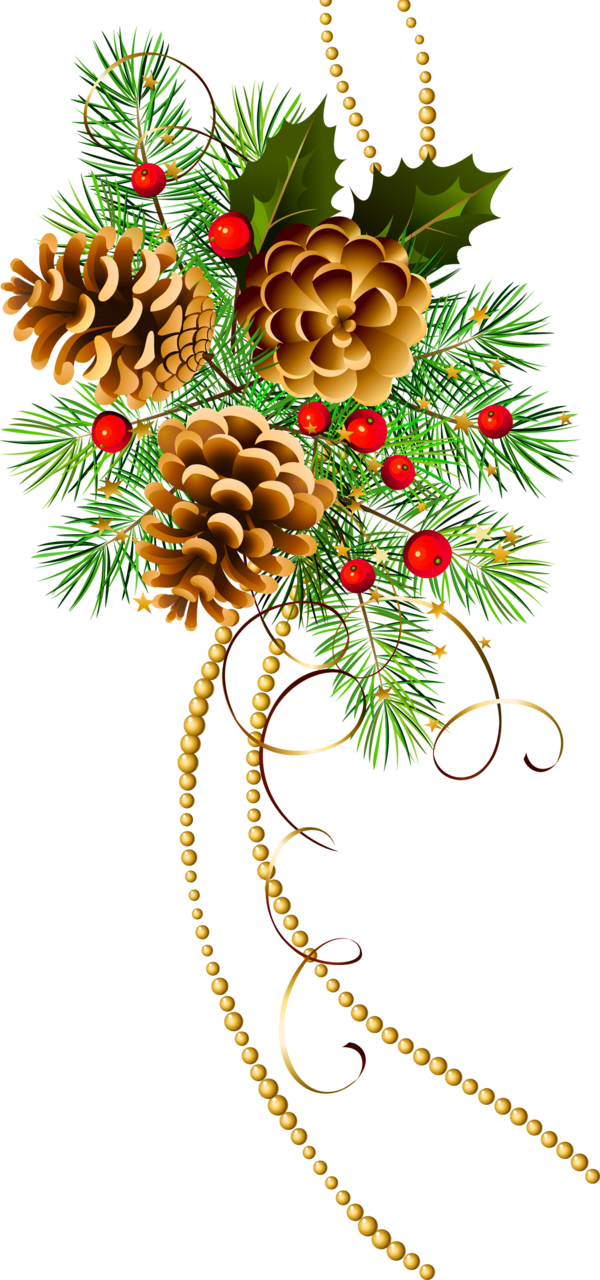 Christmas garland three cones with pine branch clipart vector