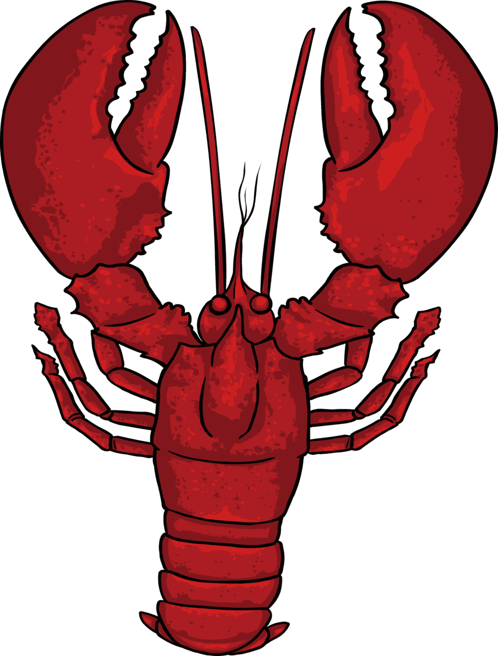 Crawfish crayfish images clipart 2