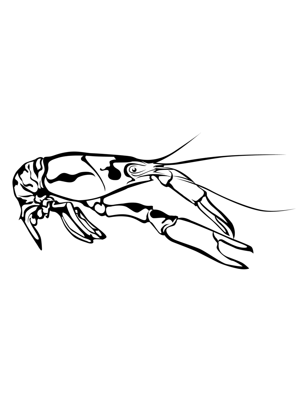 Black white outline crawfish clipart new orleans vector