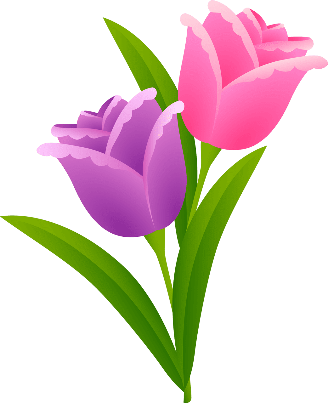 Springtime purple spr flower clipart background