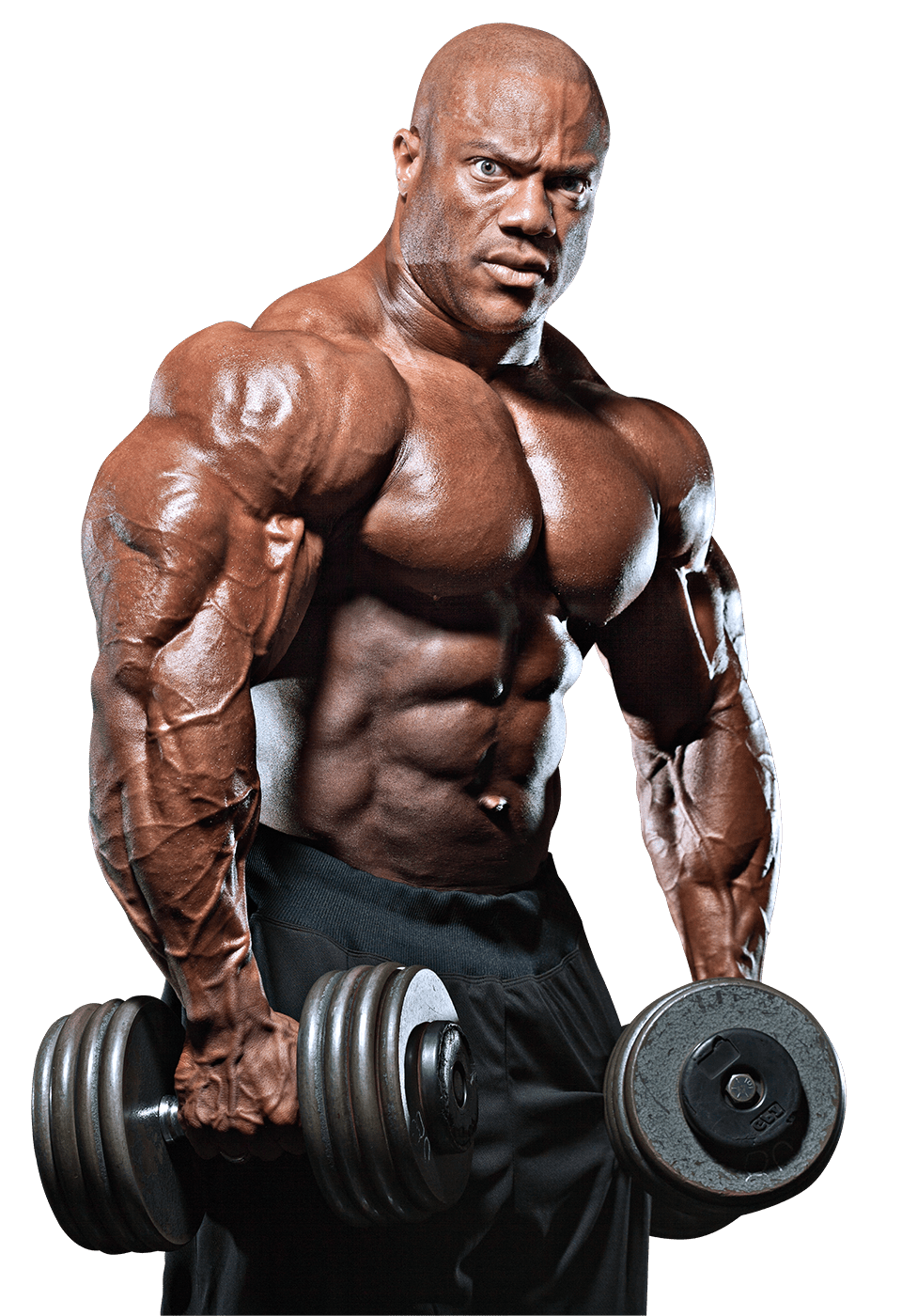 Dumbbell babul debnath babuldebnath pro clipart image
