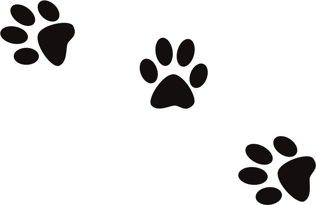 Dog footprint clipart prints image with no background