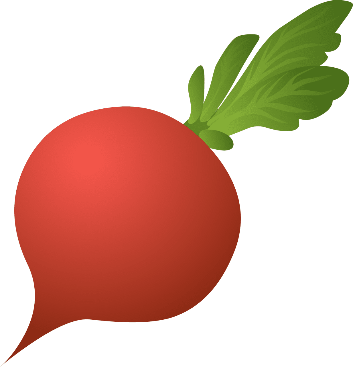 Veggie beet clipart image