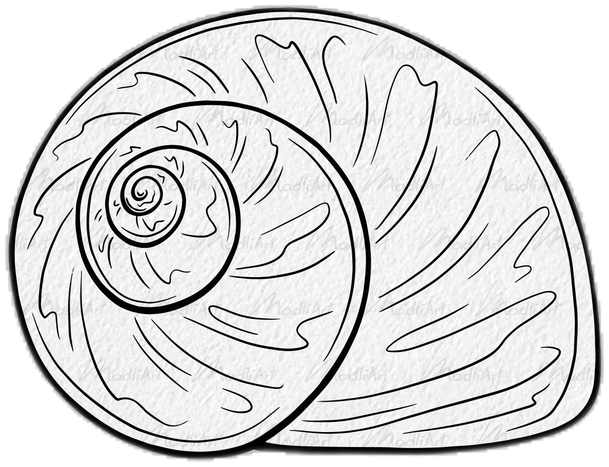 Sea shell clipart ocean themed vector draw nautical decor beach art stamp digital