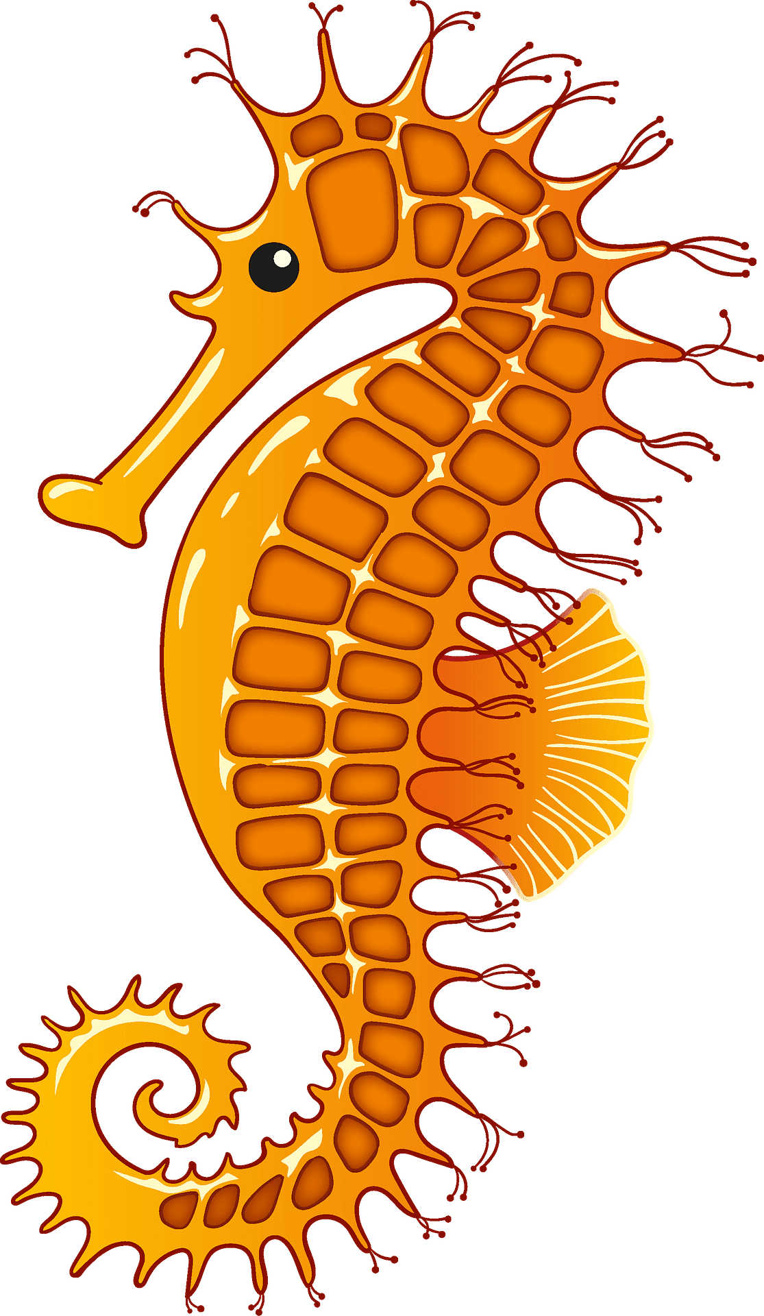 Seahorse vector clipart images 2