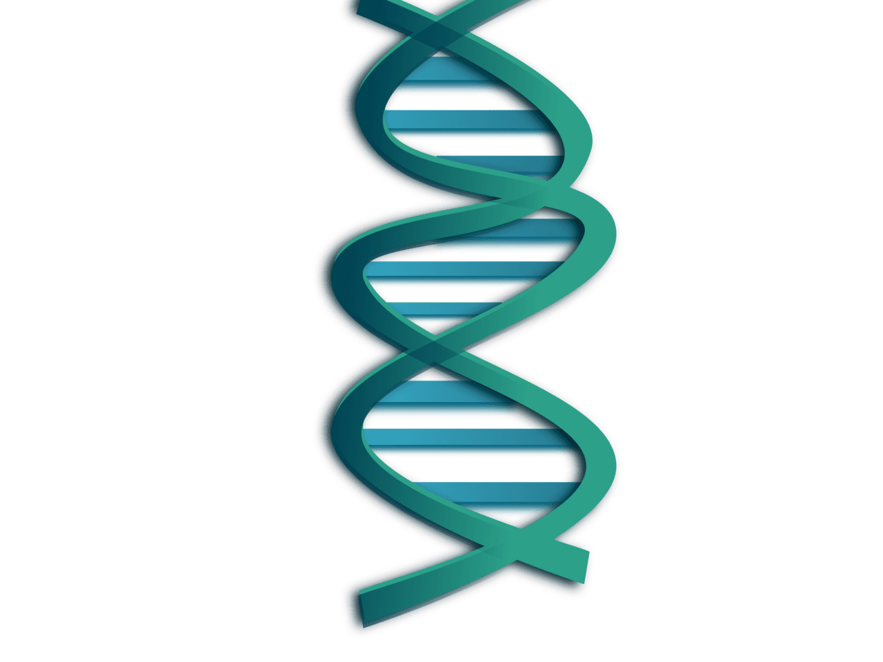 Green knot dna emblem images background clipart